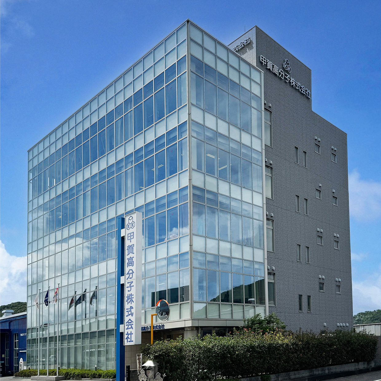 企業情報